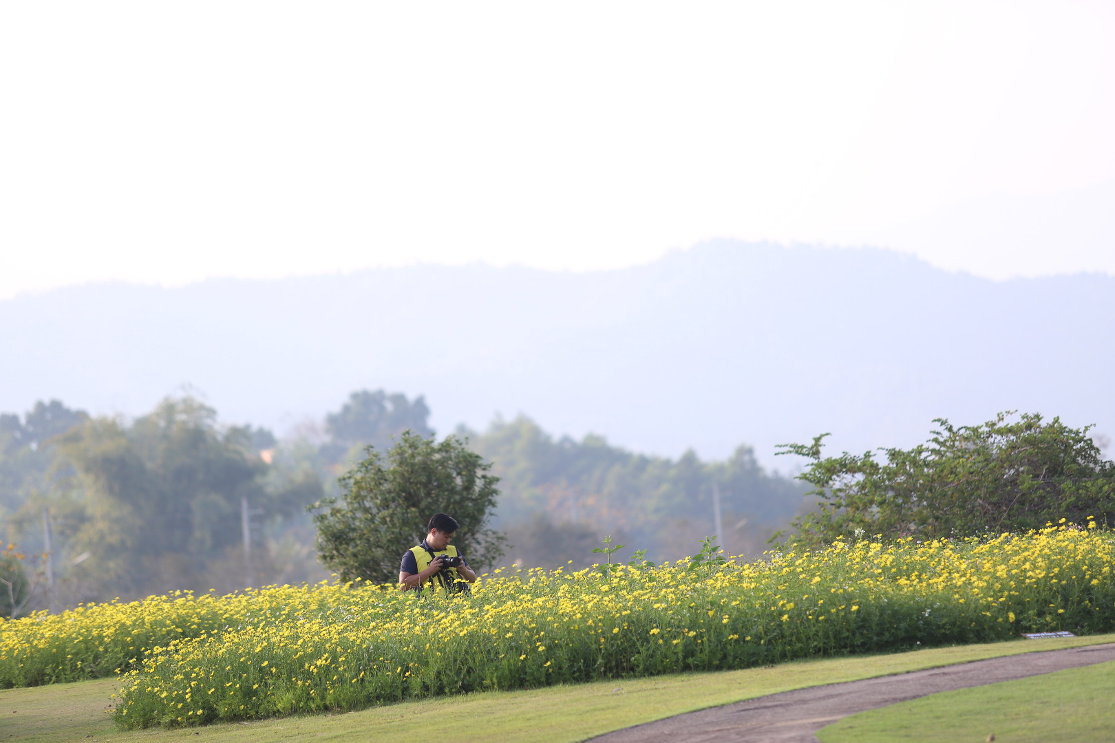 Singha Series Run