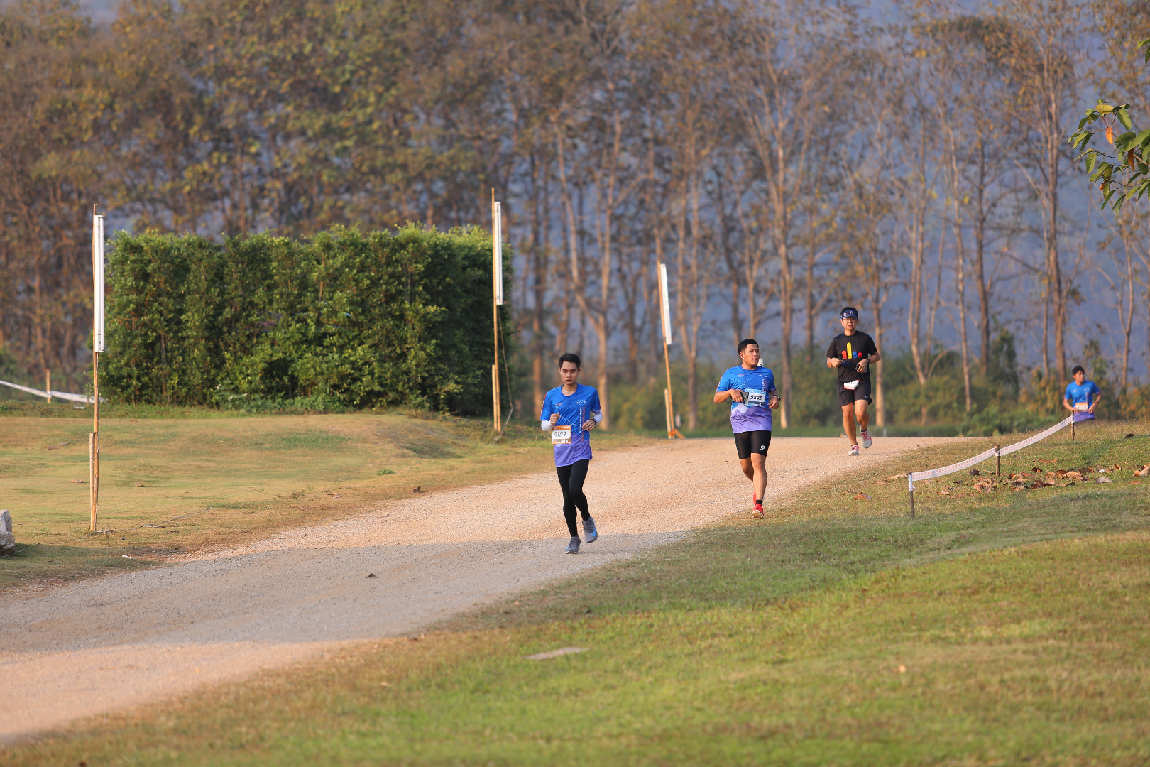 Singha Series Run
