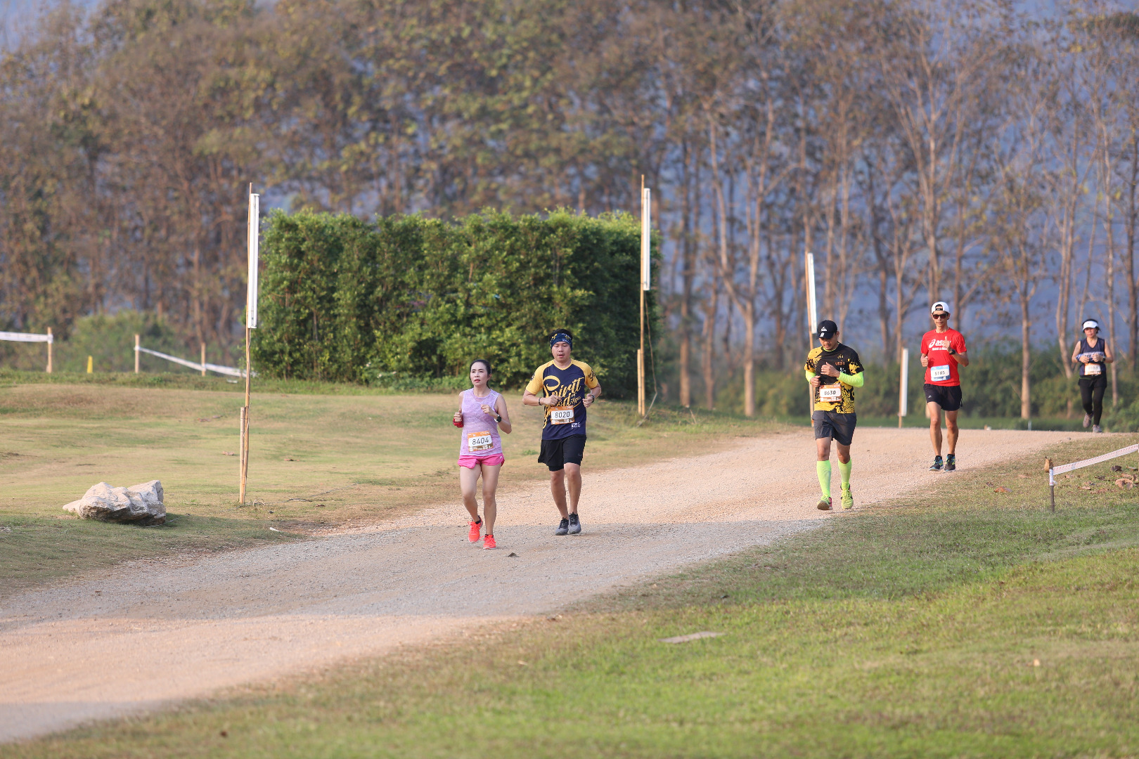 Singha Series Run
