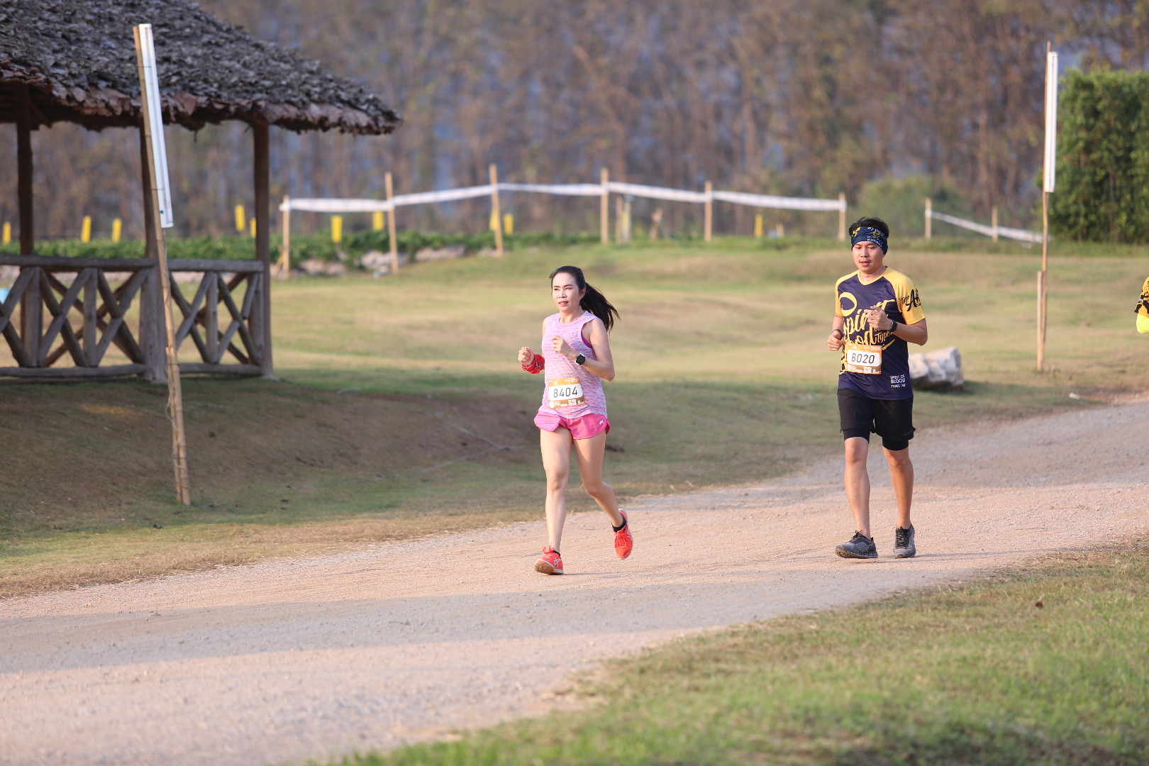 Singha Series Run