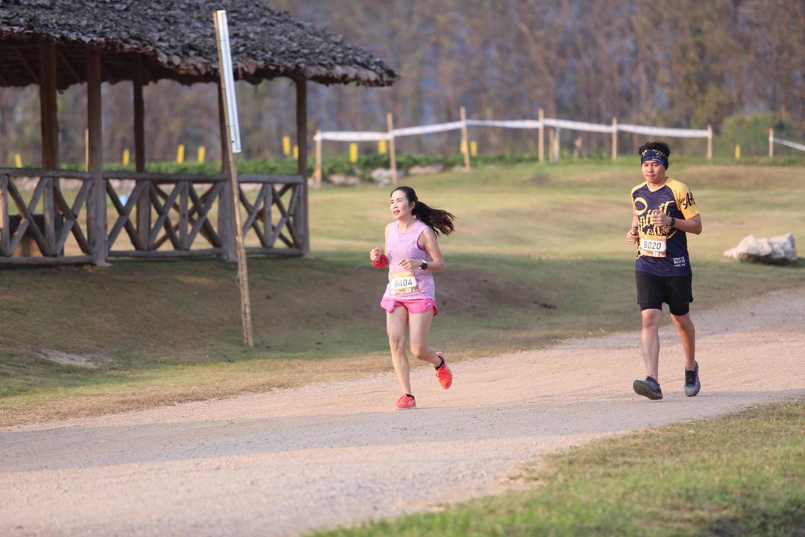 Singha Series Run