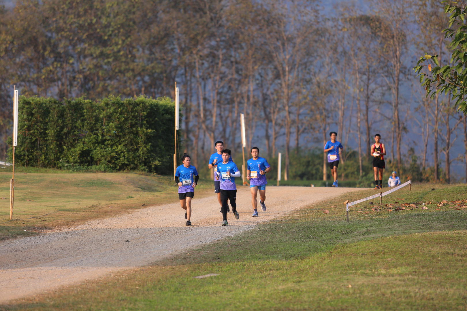 Singha Series Run