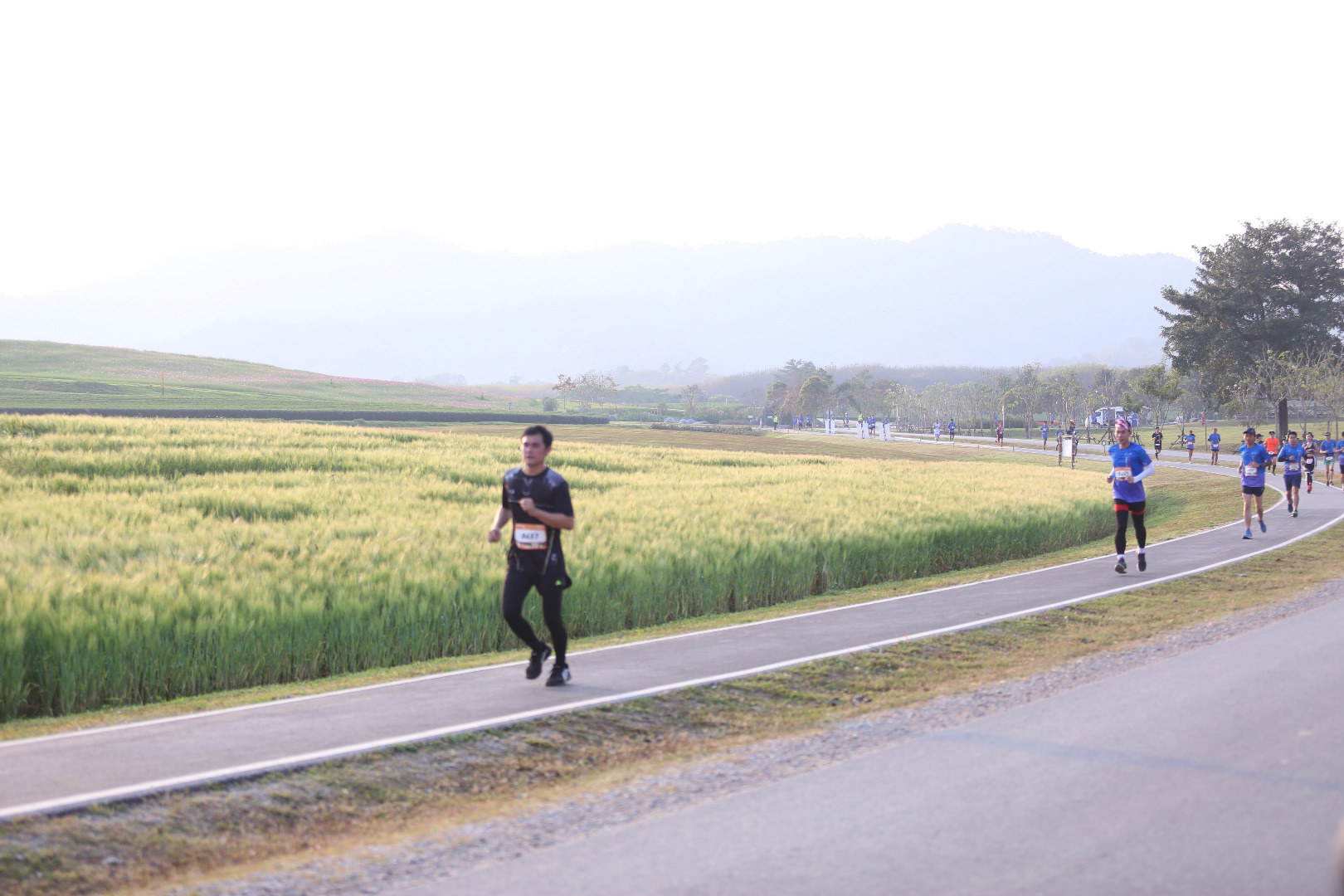 Singha Series Run