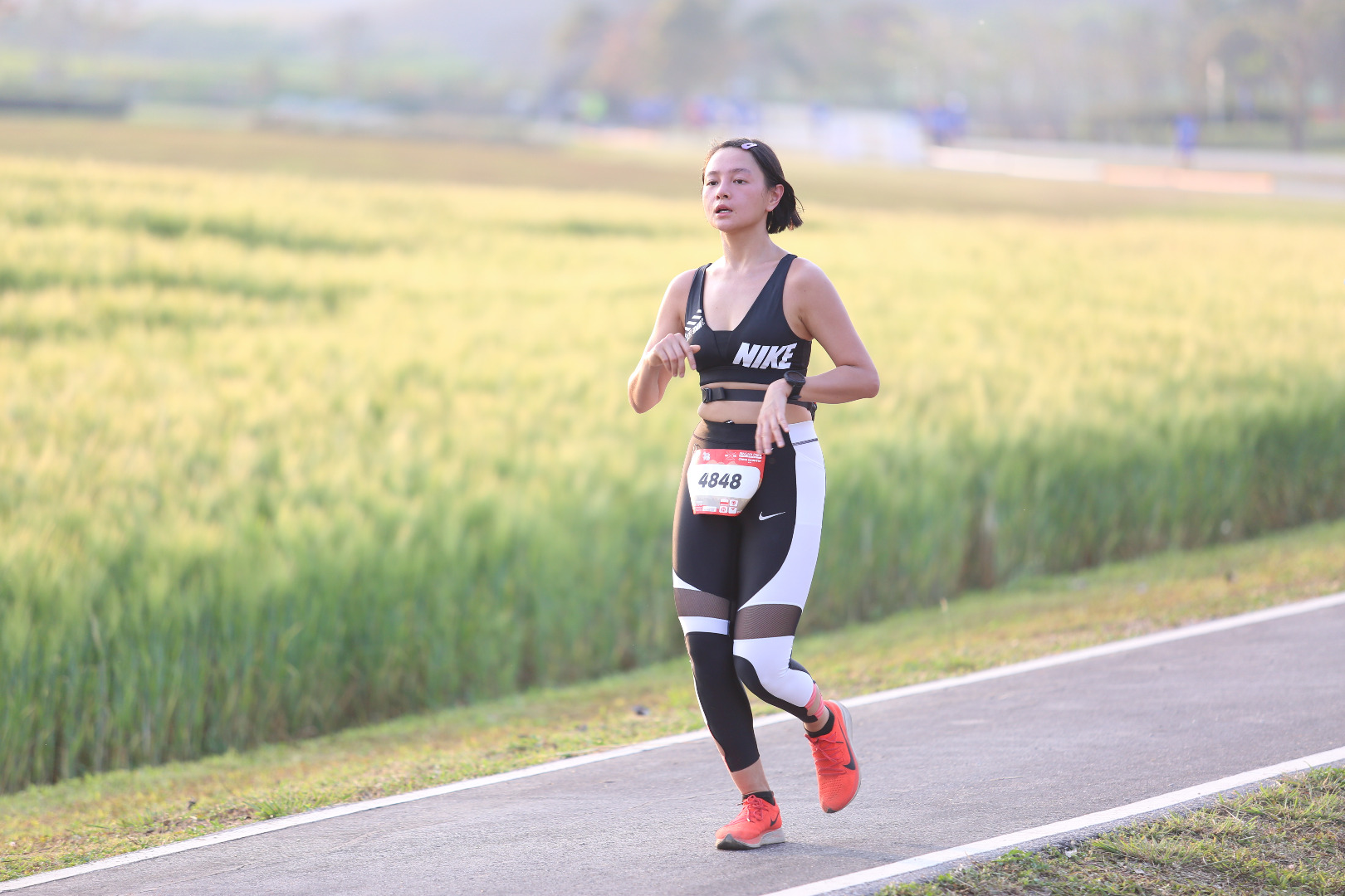 Singha Series Run