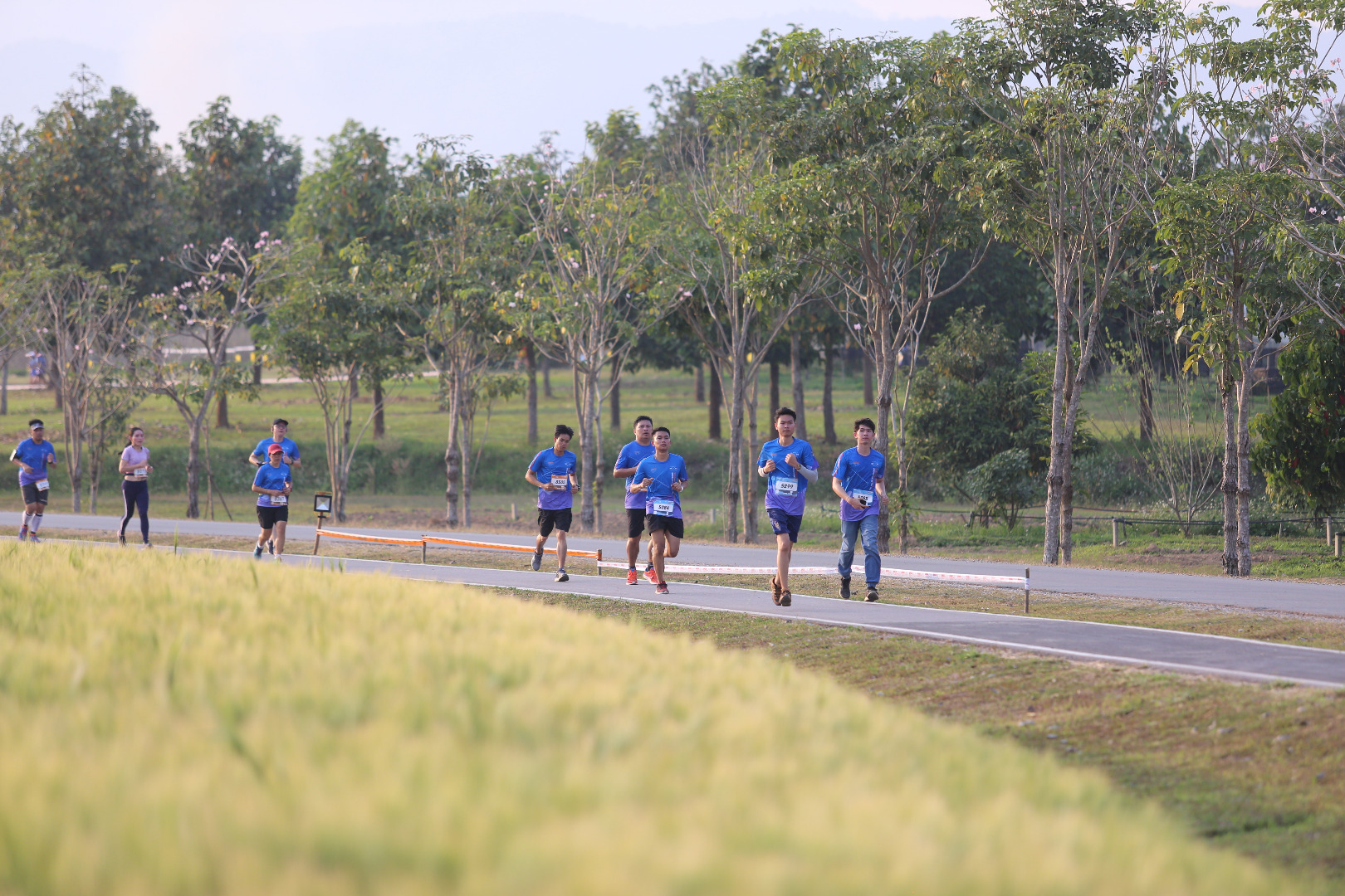 Singha Series Run