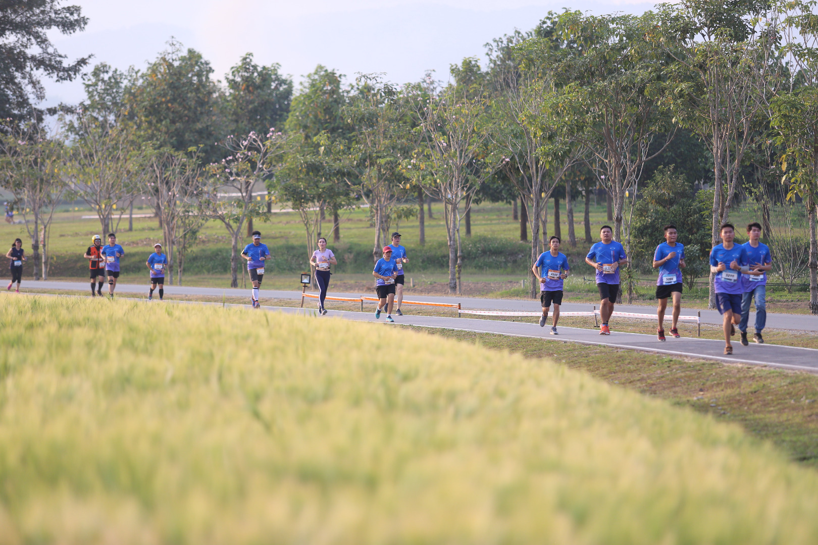 Singha Series Run