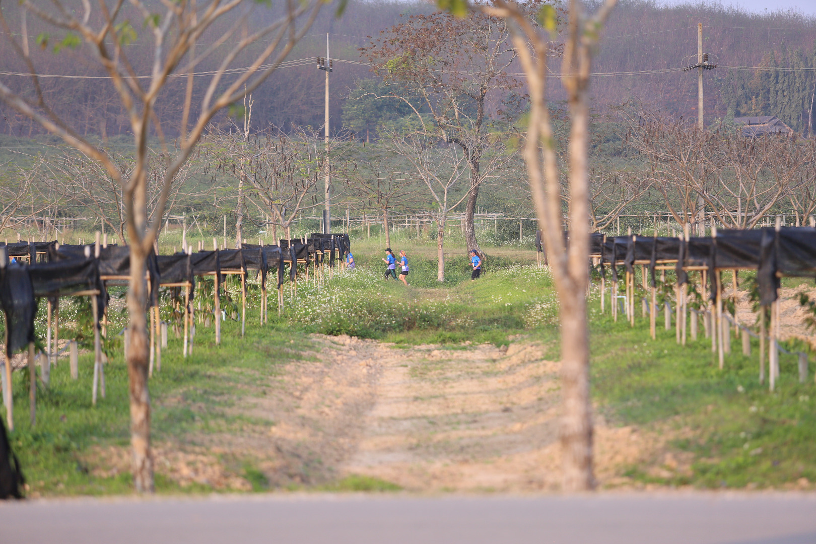 Singha Series Run