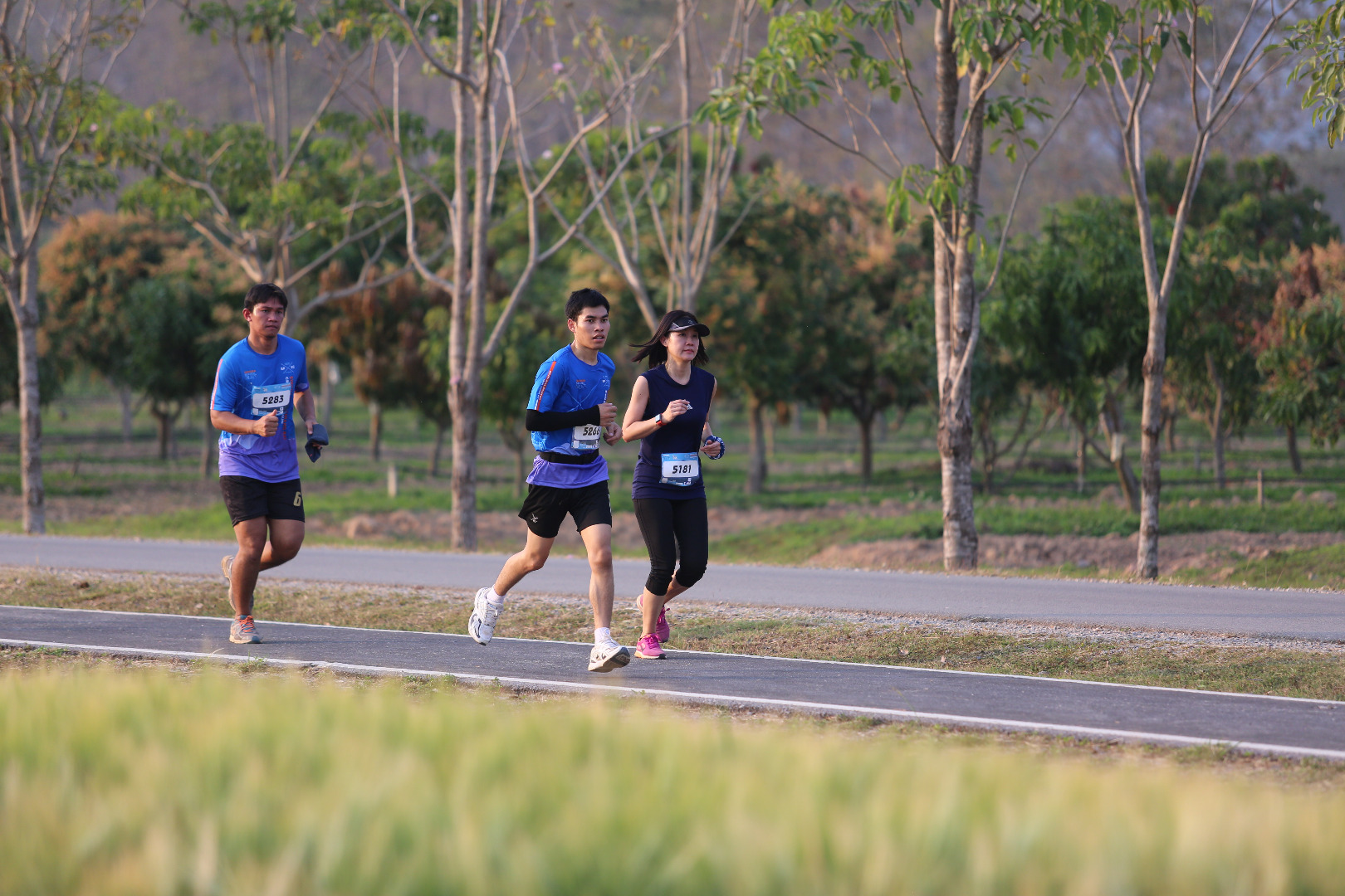 Singha Series Run