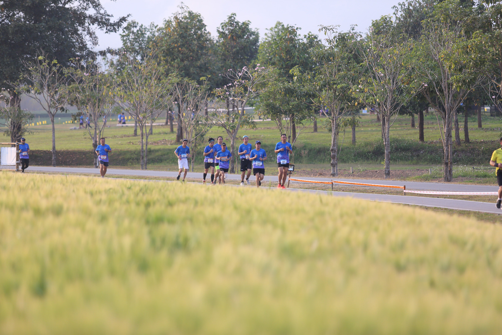 Singha Series Run