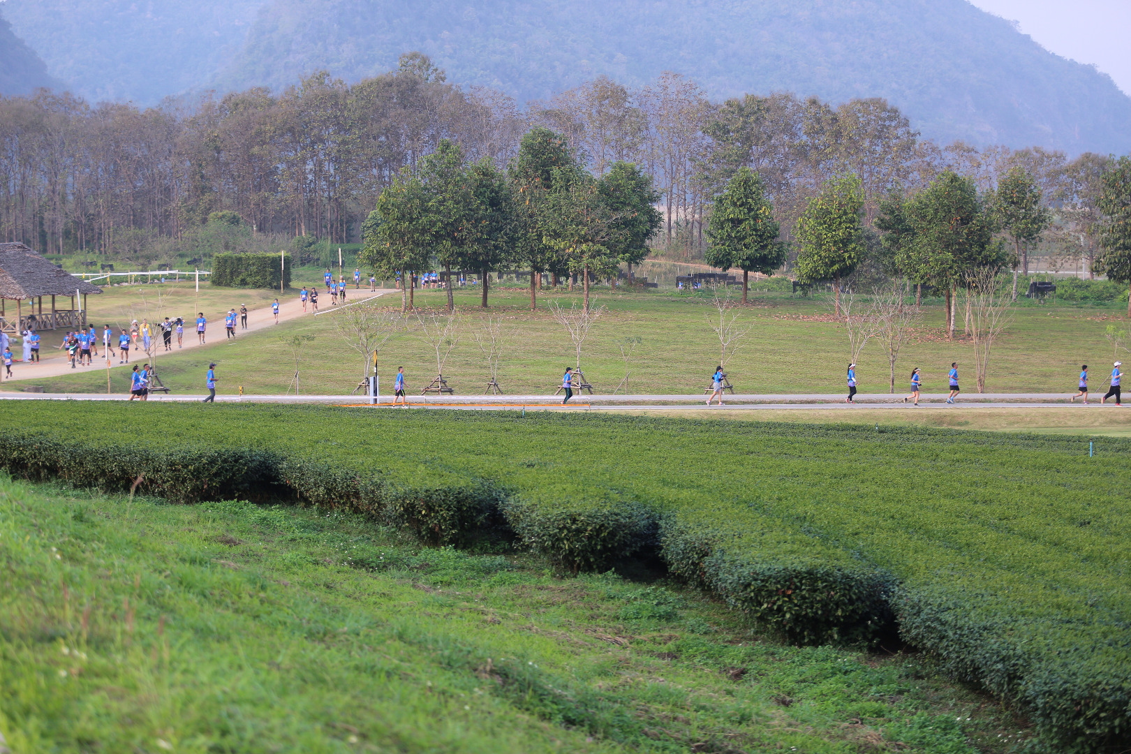 Singha Series Run