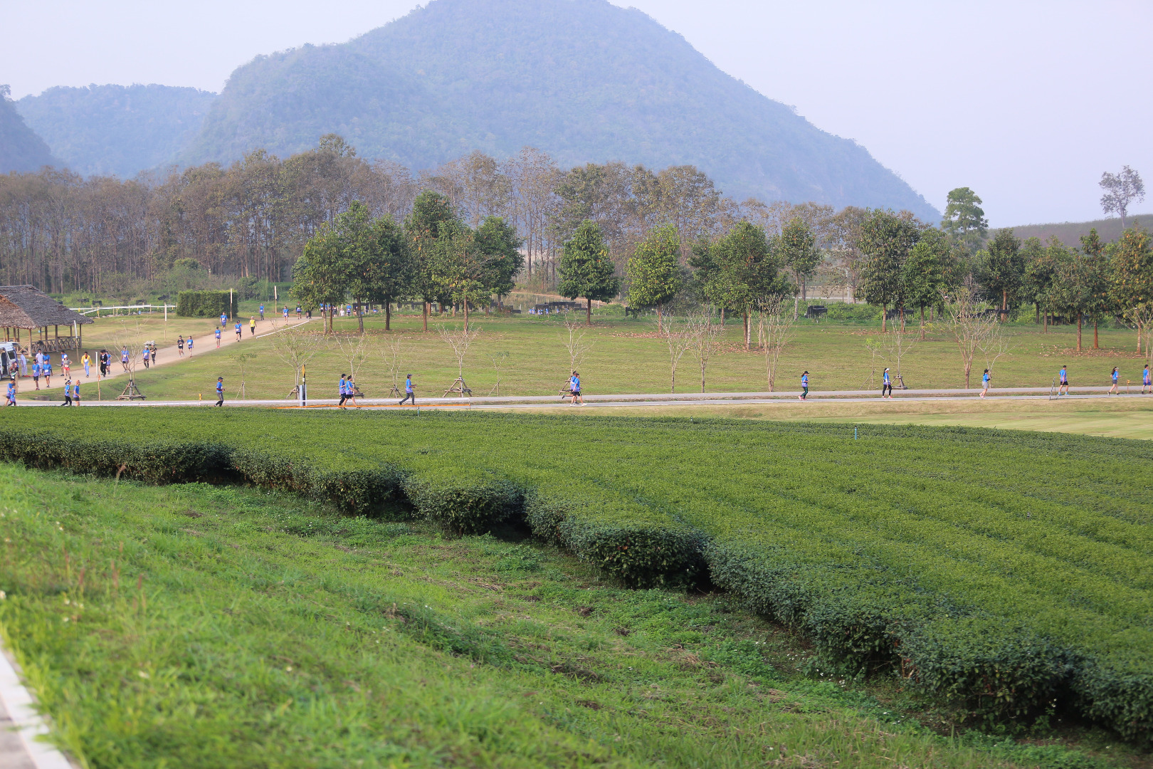Singha Series Run