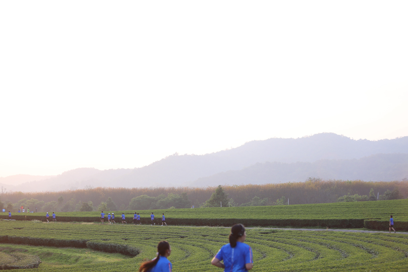Singha Series Run