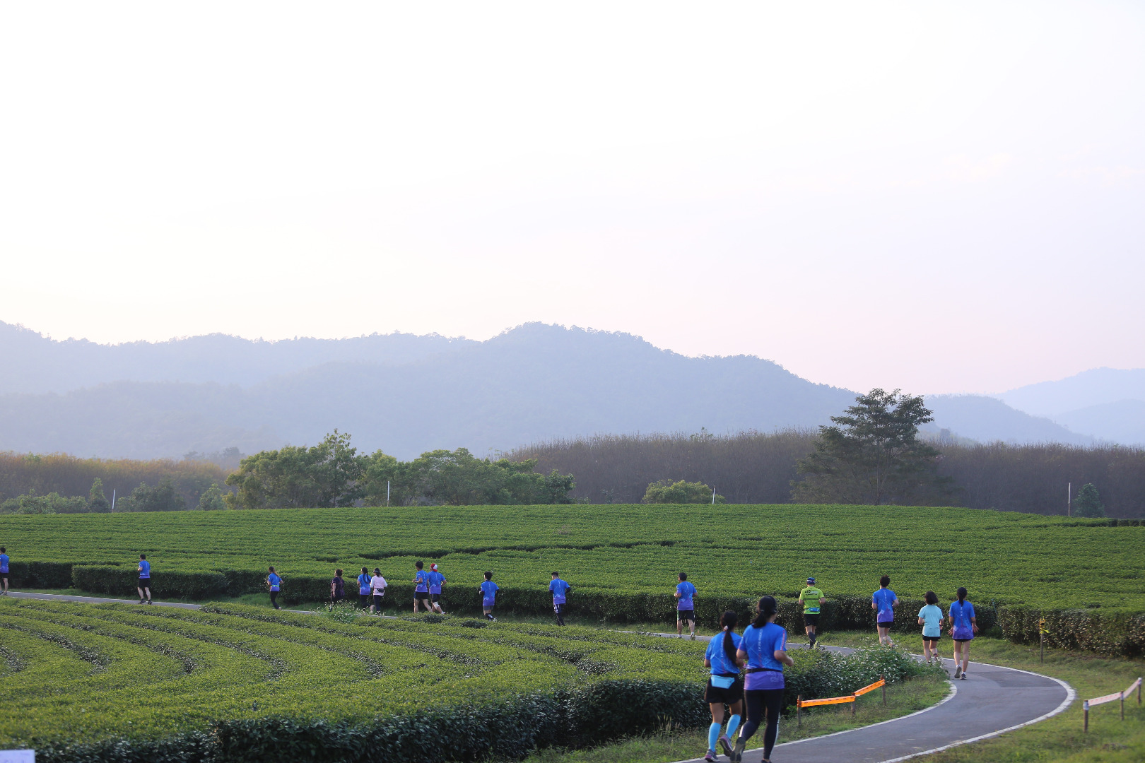 Singha Series Run