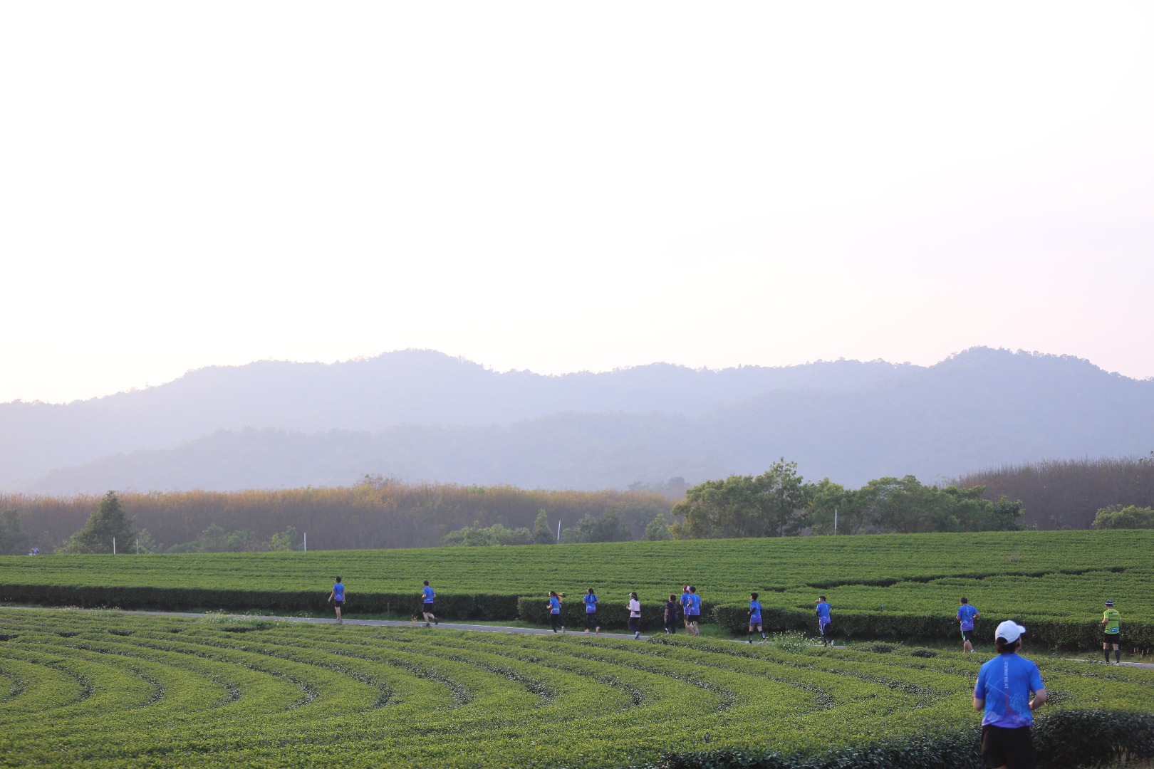 Singha Series Run