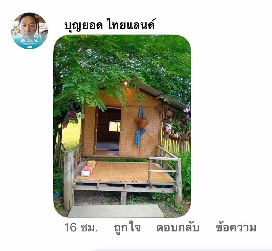 เถียงนา บัวขาว 