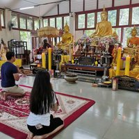 “อุโมงค์ไม้ไผ่” ณ วัดจุฬาภรณ์วนาราม