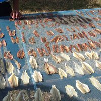 แวะซื้อปลาเค็ม–ปลาหวานตากแดด ฝีมือนักเรียนทำเองเพิ่มรายได้