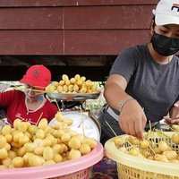 รายได้เกินแสน! พลิกผืนนาปลูกอินทผาลัม สร้างรายได้ครึ่งล้านต่อปี 