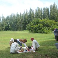 สวนสนจุดเช็คอินสุดชิค ให้บรรยากาศเหมือนต่างประเทศ