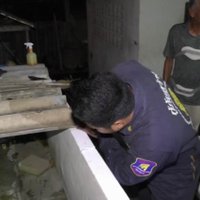 พบจระเข้ตัวเขื่องอ้าปากพร้อมสู้ในห้องเช่า คาดพอโตแล้วโดนทิ้ง