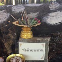 แห่ขอหวยต้นตะเคียน หลังพระเกิดนิมิตว่าต้องเอาของมีค่าขึ้นมา