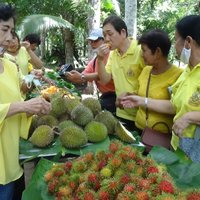 เที่ยวไหว้พระสุขใจสไตล์นิวนอมอล เที่ยวตะลุยชิมผลไม้ถึงในสวน