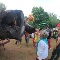 พบไม้ตะเคียนคู่อายุนับพันปีจมใต้น้ำ แห่ส่องหวยโค้งสุดท้าย