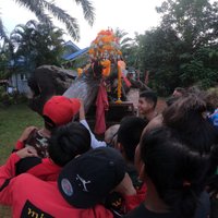 พบไม้ตะเคียนคู่อายุนับพันปีจมใต้น้ำ แห่ส่องหวยโค้งสุดท้าย