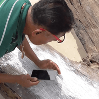 แห่ขอเลขเด็ดแม่ตะเคียนวัดดังอ่างทอง หลังพบมีมากที่สุดในประเทศ