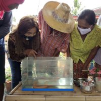 เลขเด็ดปลาไหลสีทอง แห่ขอโชคลาภ