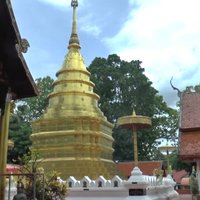 ต้นลีลาวดีโบราณวัดพระธาตุจอมทอง อายุมากกว่า 200 ปี