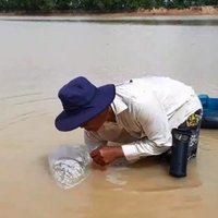 ไอเดียวแจ่ม! ใช้กระบอกไม้ไผ่ดักจับปลาซิว แบบภูมิปัญญาชาวบ้าน