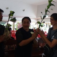 ชาวบ้านถูกใจ! แจกกิ่งพันธุ์มะนาว เป็นของที่ระลึกงานศพพ่อ