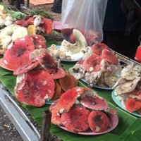 อึ้งทึ่ง! เห็ดระโงกราชาเห็ด ราคาพุ่งสูงกว่าเนื้อวัวโลละเกือบ 500 บาท