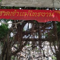 เลขเด็ด! แห่กราบไหว้ขอหวยเจ้าแม่ไทรงาม 350 ปี เผยเห็น 2 ตัว