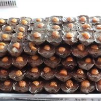 ขนมเทียนยายสุพัตรา ท่าน้ำนนท์ ชิมแล้วจะติดใจ 