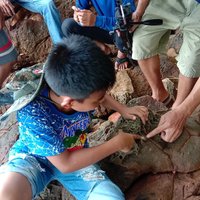 บุกพิสูจน์ นิ้วหินบนเกาะคอเขา อ.ตะกั่วป่า ความมหัศจรรย์ของธรรมชาติ 