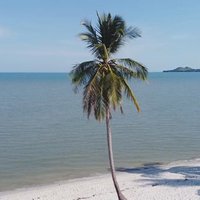 อะเมซิ่งแหลมหาดมัลดีฟเกาะยาว ทะสีฟ้า ทรายหาดสีขาว