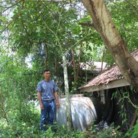 ใหญ่ยักษ์! ตะลึงพบต้นกระบุกป่าสูงกว่า 2 เมตร 