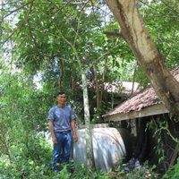 ใหญ่ยักษ์! ตะลึงพบต้นกระบุกป่าสูงกว่า 2 เมตร 