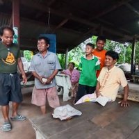 เทวดาเข้าฝัน! ก่อนพบลูกหมูประหลาดมี 8 ขา เชื่อเป็นลูกหมูให้โชค