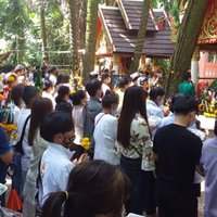 เลขเด็ด! วังนาคินทร์คำชะโนด คอหวยไม่พลาดเจอ สามตัว-สองตัว
