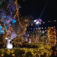 ความสวยงามของพระอุโบสถยามค่ำคืน วัดดอนใหญ่