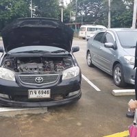 แห่ส่องเลขรถ แมวถูกรถเก๋งชนติดไปกับรถ รอดปาฏิหาริย์