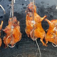 กลิ่นหอม หนังกรอบ เนื้อนุ่ม! หนูนาอบโอ่งแสนอร่อย