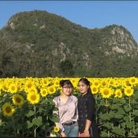 เหลืองอร่าม! ชมความงามทุ่งทานตะวันชายเขาบ้านน้ำพุ