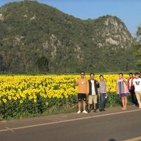 เหลืองอร่าม! ชมความงามทุ่งทานตะวันชายเขาบ้านน้ำพุ