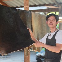 สุดทึ่ง! ภูมิปัญญาทำหนังควายเค็ม ช่วงหนาวสู้โควิดฟันเดือนละแสน
