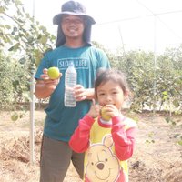 หวานกรอบพุทราน้ำอ้อย อร่อยเหาะ