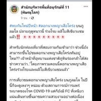 ชมความงามนางพญาเสือโคร่ง ล็อตสุดท้ายที่โครงการพระราชดำริฯ